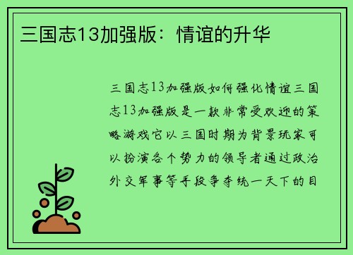 三国志13加强版：情谊的升华