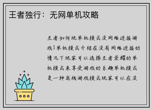 王者独行：无网单机攻略